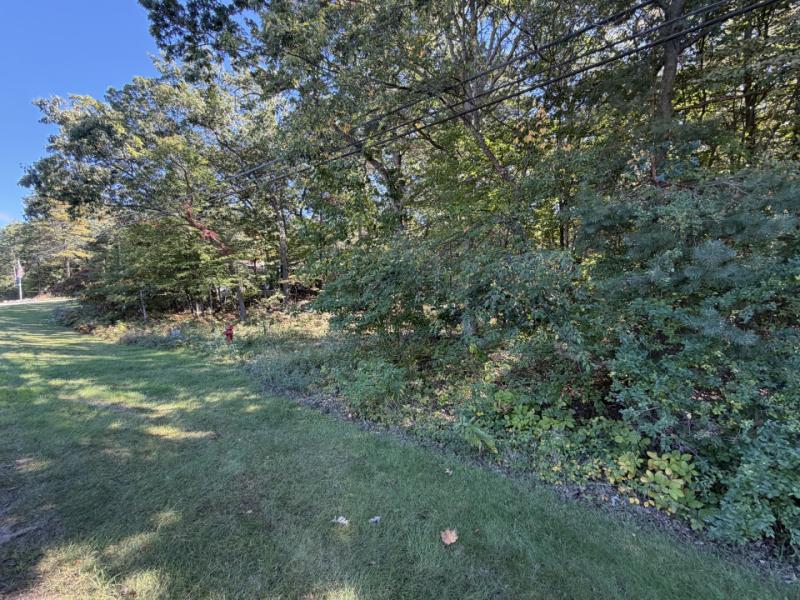 Rental 204886 Main Image